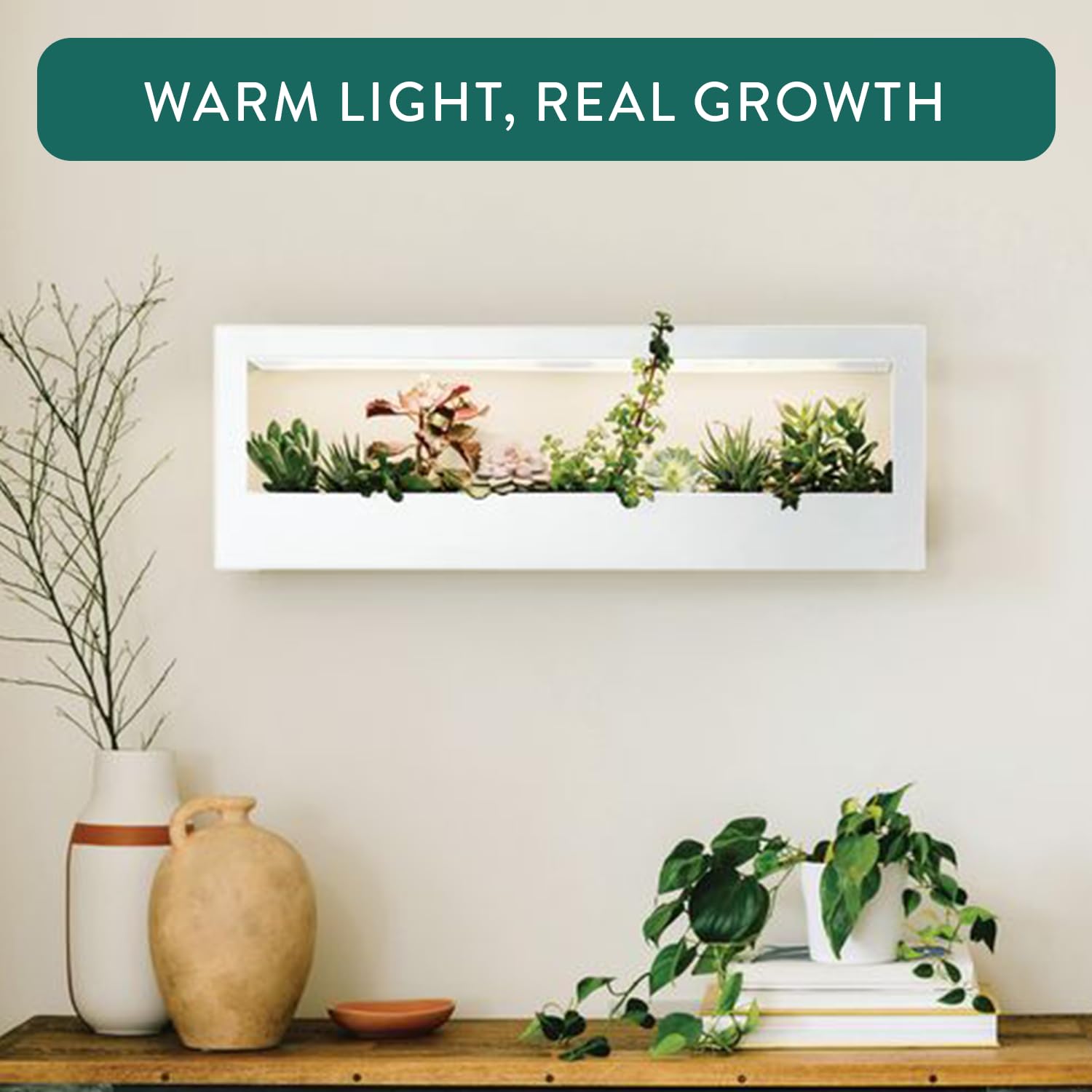 Amazon.com : Modern Sprout Smart Landscape Growframe - Wall