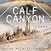 Calf Canyon: Poems (Mineral Point Poetry)