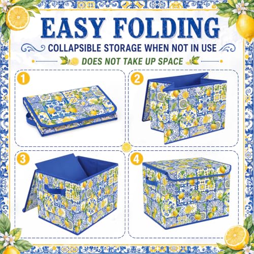 Image of Briwooody Capri Lemon Storage Bin with Lid and Carrying Handle Lemon Basket