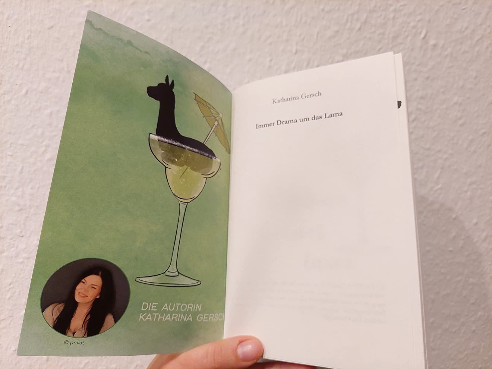 Immer Drama um das Lama Gersch, Katharina Amazon.de Bücher