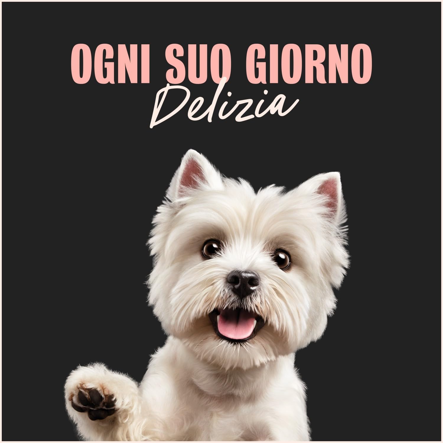 Cesar Senior 10+ Cibo per Cane con tenero Pollo e Riso, 150 g, 14 Vaschette