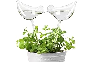 KiKiHeim Plant Watering Globes: Keep Plants Hydrated Indoors