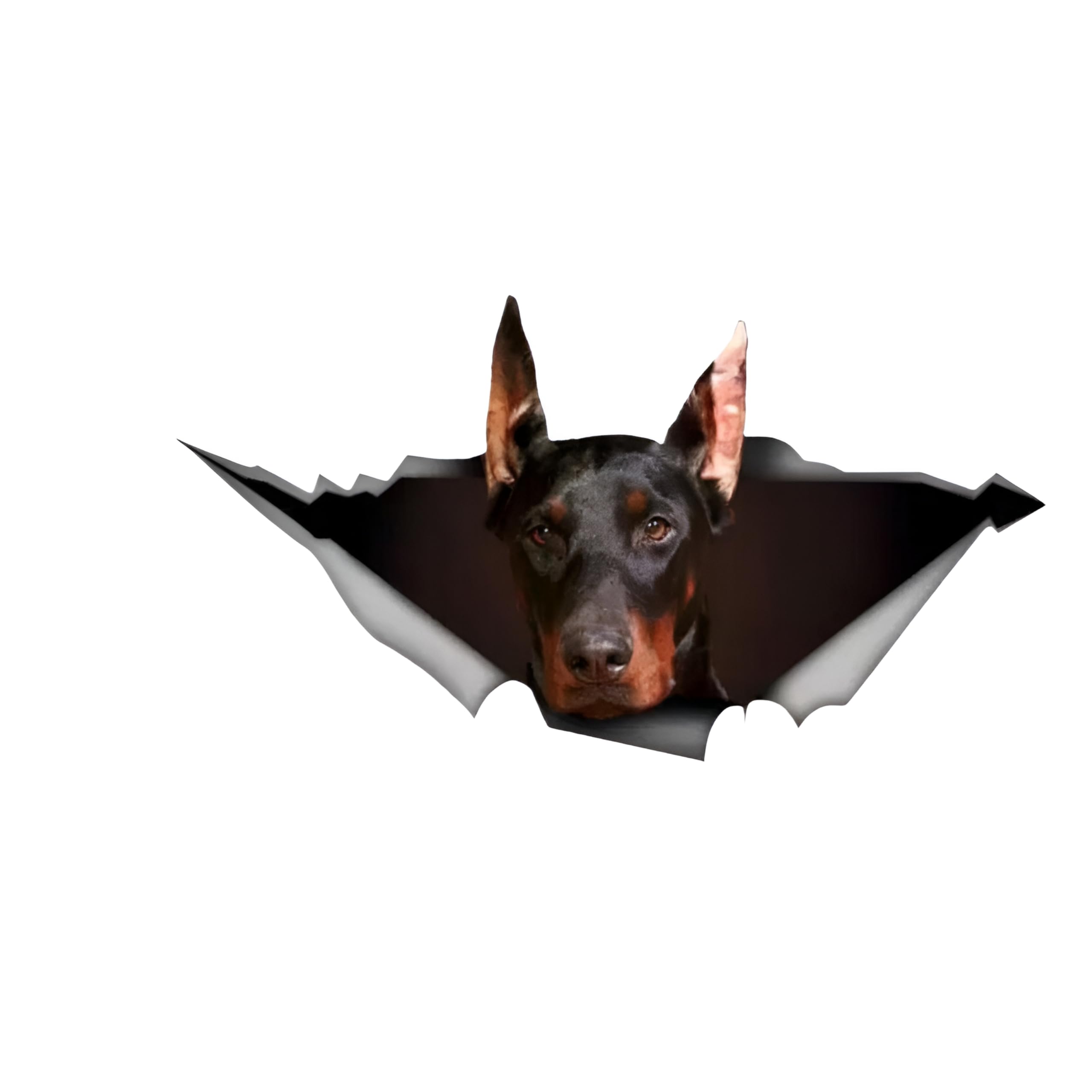 Französische Bulldogge Aufkleber, 3D Zerrissener Effekt, Was