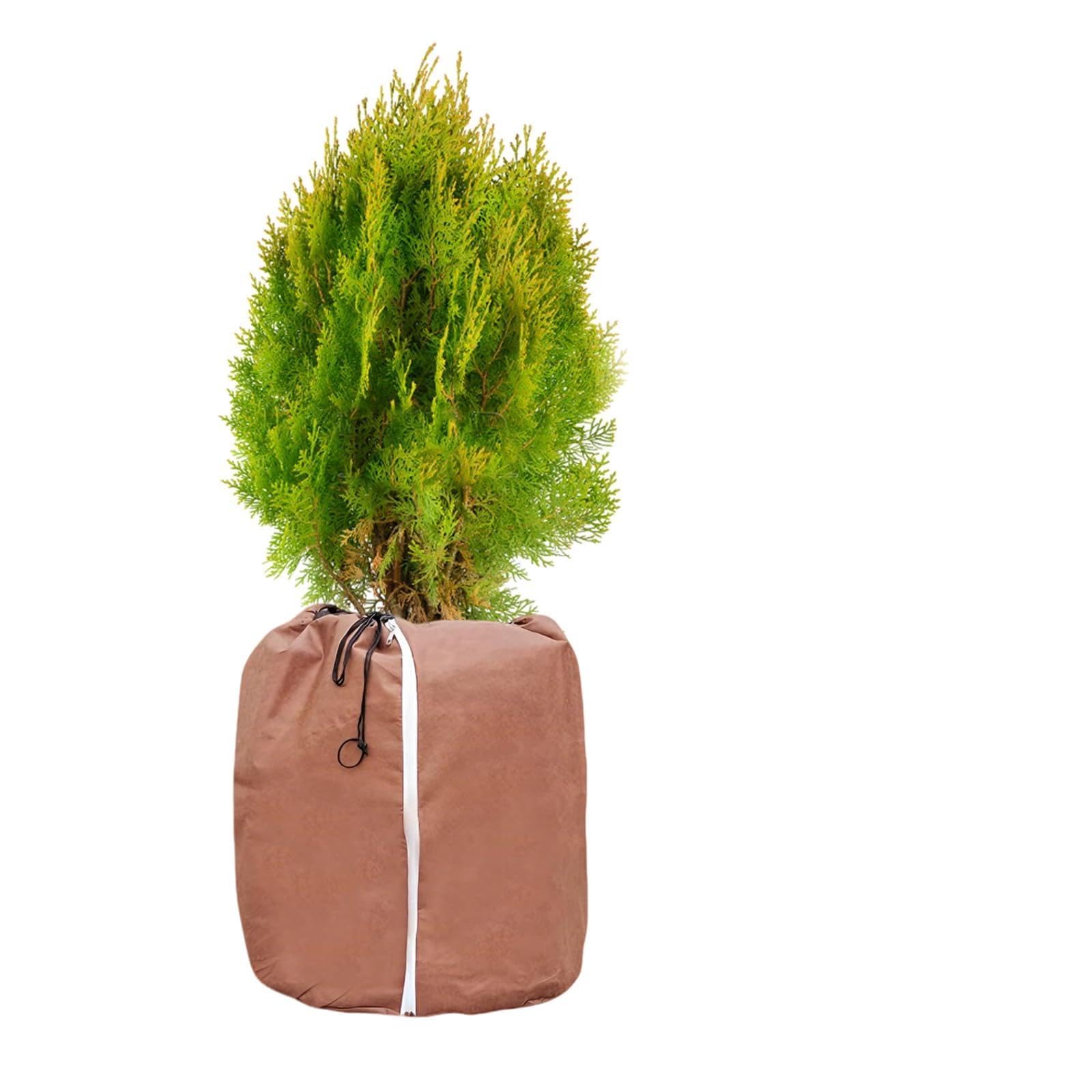 Funda para macetas de invierno contra raíces congeladas bolsa térmica para proteger arbustos