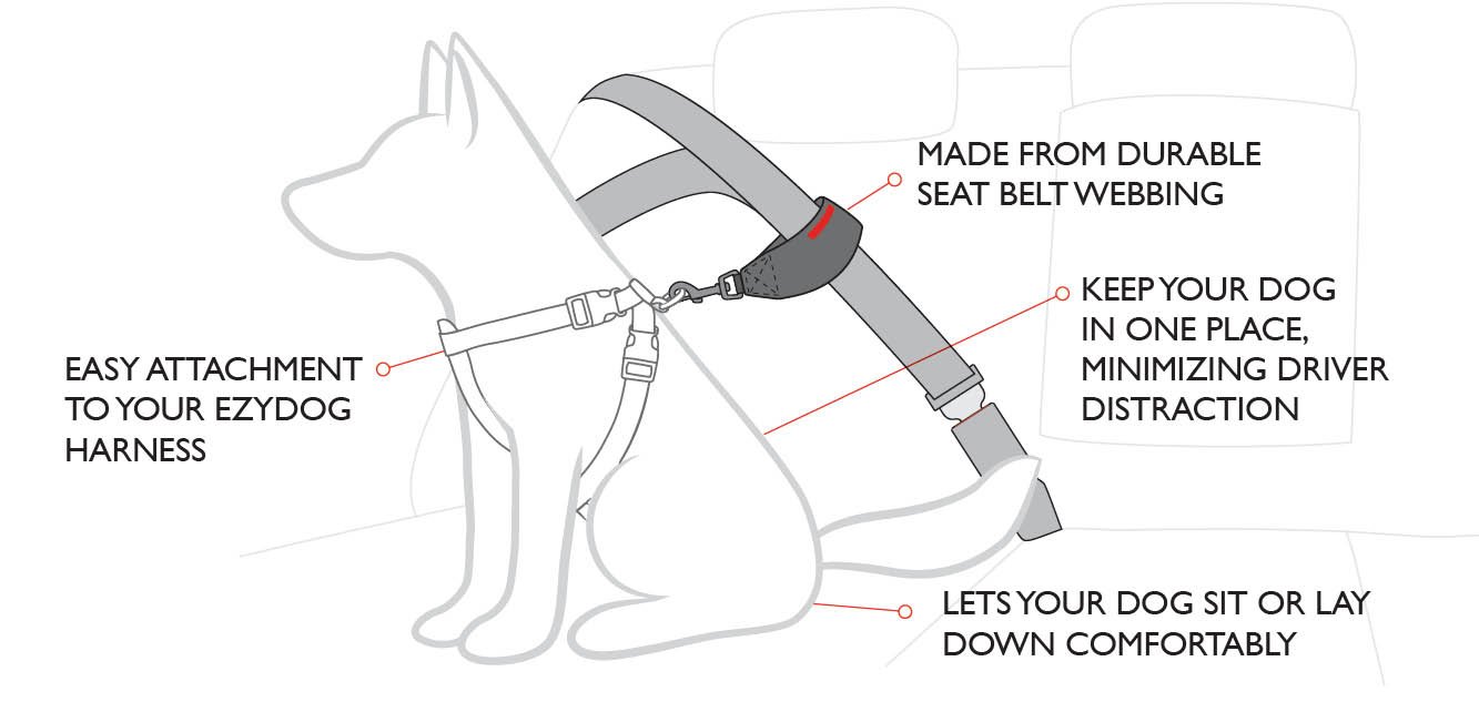 ezydog harness car