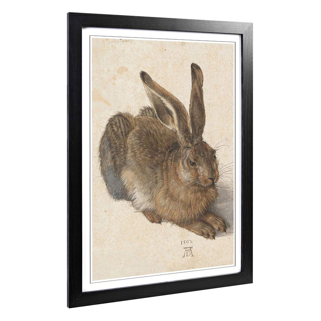 Big Box Art Framed Print of Albrecht Durer The Hare Design | Wall Art Picture | Home Decor for Kitchen, Living, Dining Room, Bedroom, Hallway, Office, Black, A2 / 24.5x18 Inch / 62x45cm