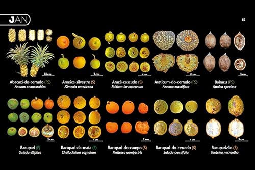 Frutos do Cerrado: 100 espécies atrativas para Homo sapiens