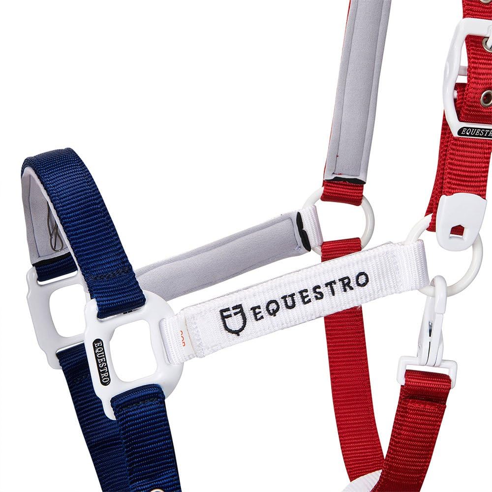 CAVEZZA "FLAGGY" E LUNGHINA (FULL, NAVY/BIANCO/ROSSO)