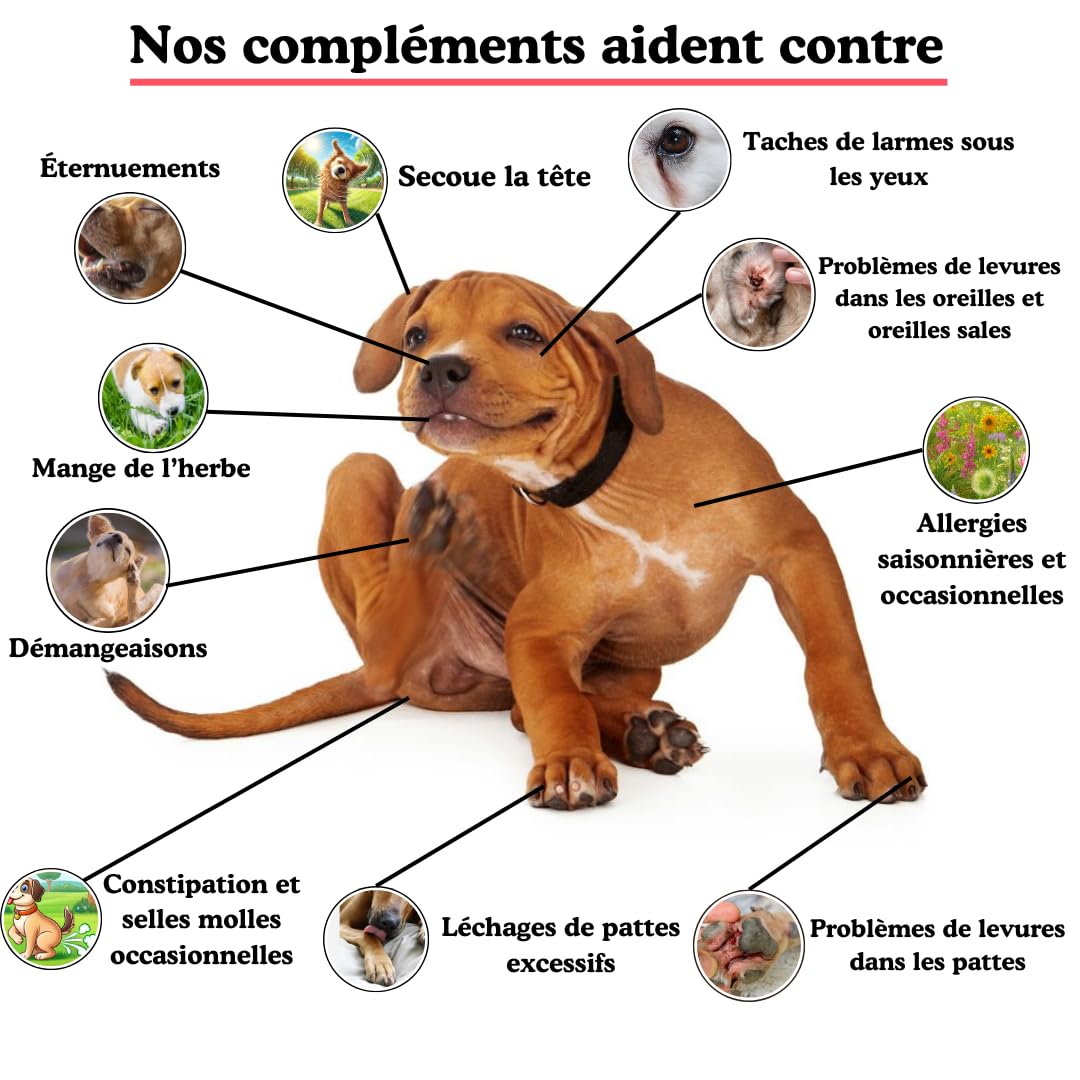 SUNFIDE - Démangeaisons - Complément Alimentaire pour Chien - Contre Les Démangeaisons, Léchages - Oméga 3 - Probiotiques pour Chien - Contre Les Allergies (1 Boîte (60 Friandises au Poisson))