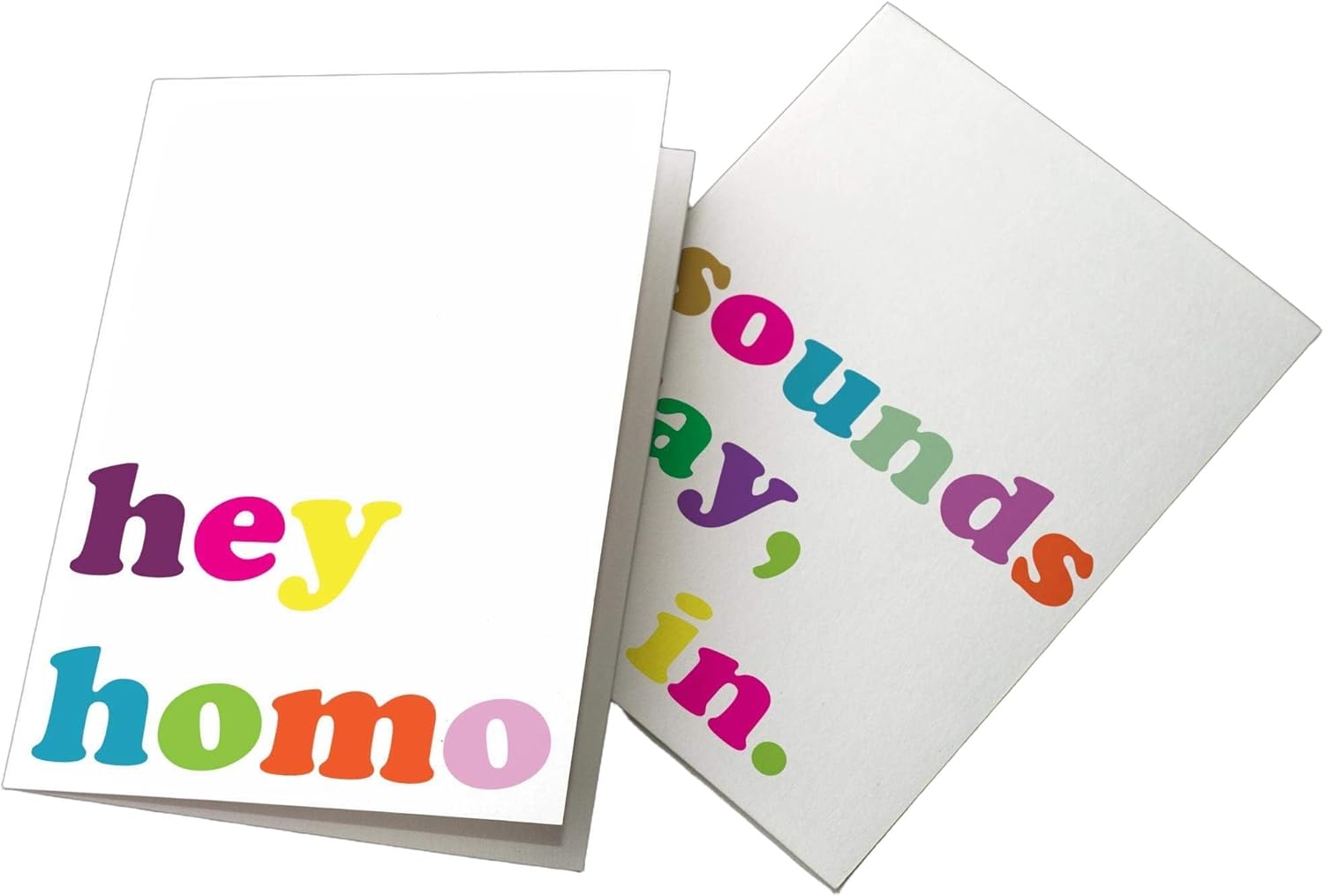 Ritzy Rose LGBT Themed Greeting Cards - 24 Assorted Blank Cards with White Envelopes (12 Designs) Sounds Gay I’m In, Rainbow, I Can’t Even Think Straight Designs | Birthday Thank You Just Because