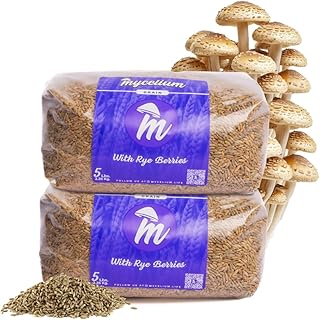 Mycelium Rye Berries Grain Spawn | 2-Pack (5 lb Each) | Pre-Sterilized Mushroom Substrate with Self-Healing Injection Ports | 10 lb Bulk Supply for High-Yield Cultivation | Easy & Ready to Use