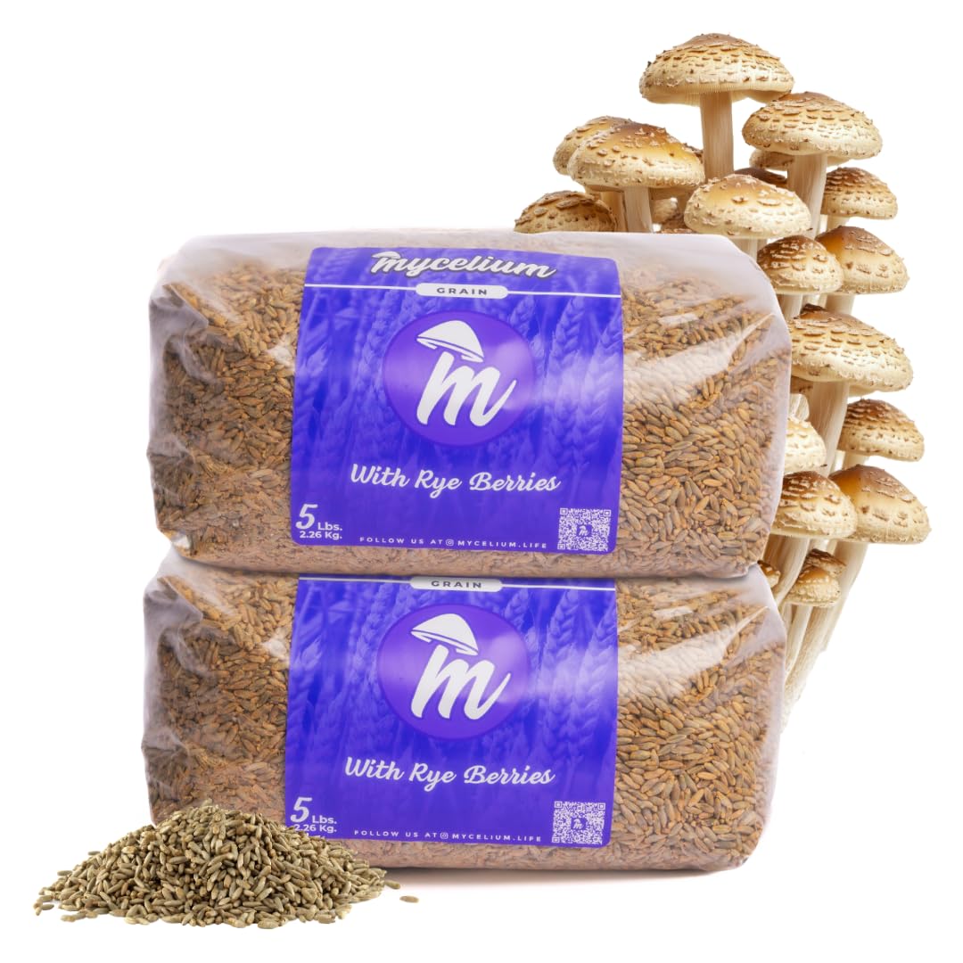 Mycelium Rye Berries Grain Spawn | 2-Pack (5 lb Each) | Pre-Sterilized Mushroom Substrate with Self-Healing Injection Ports | 10 lb Bulk Supply for High-Yield Cultivation | Easy & Ready to Use