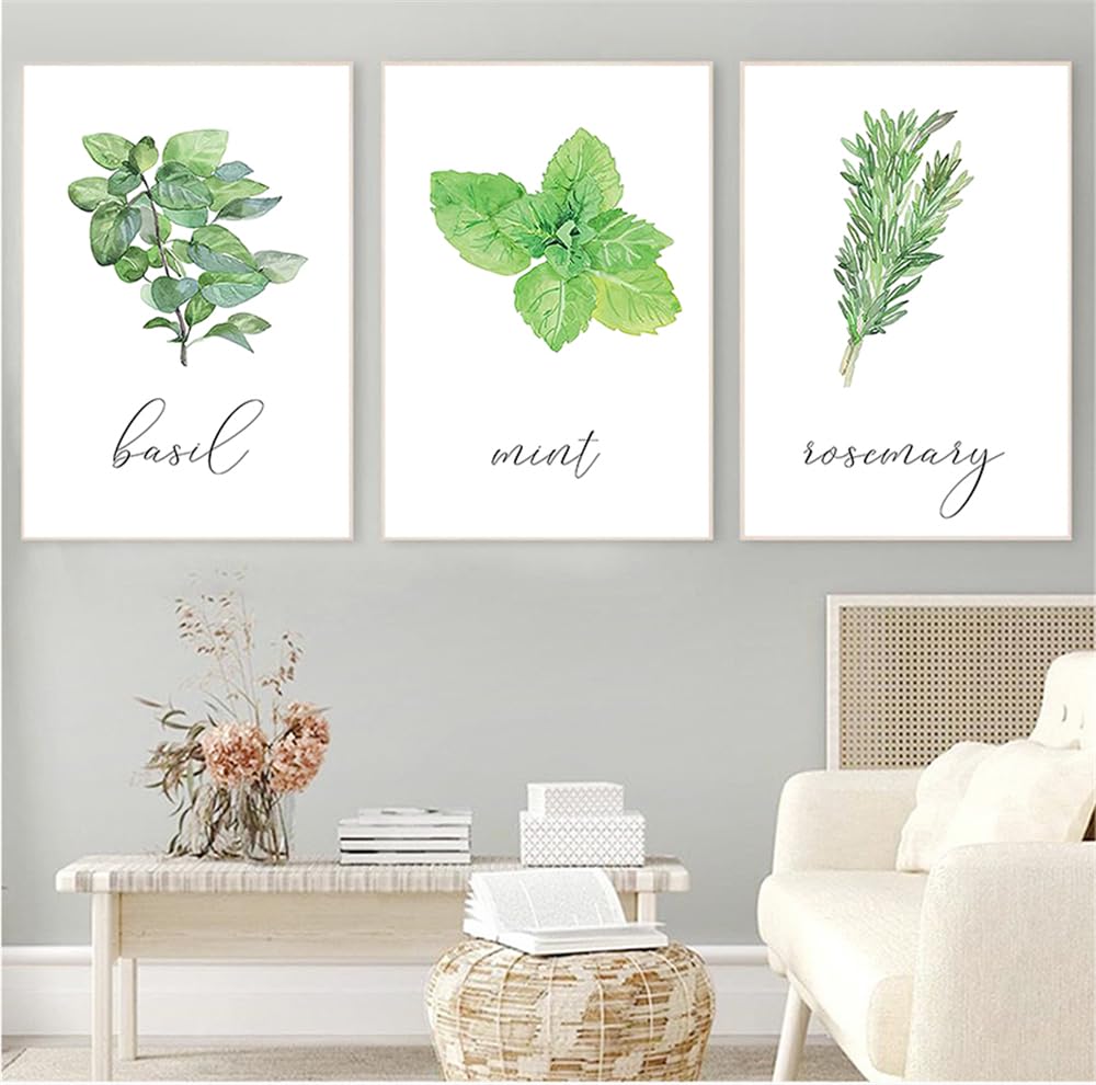 WBYZAC Botanical Posters-Abstract Green Plant Pictures Botanical Wall Art Canvas Painting Watercolor Posters and Prints Kitchen Bedroom Decor Artwork-60 * 80cm*3PCS (No Frame)