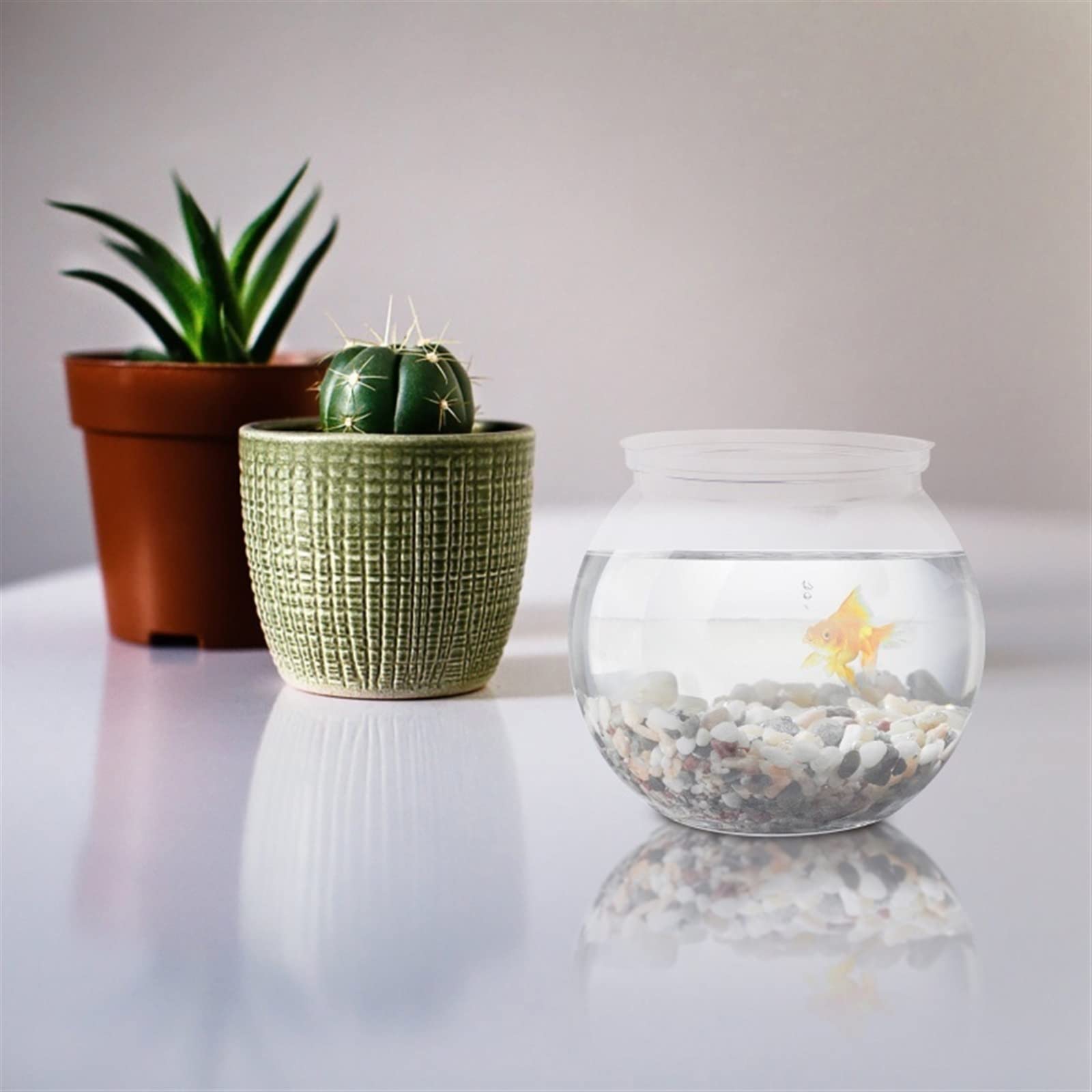 Réservoir à poissons, bocal à poissons, Aquarium 2 pièces Réservoirs Petits Aquariums Aquariums Aquariums Transparents Aquariums Accessoires d'alimentation for poissons for la décoration Poissons de c
