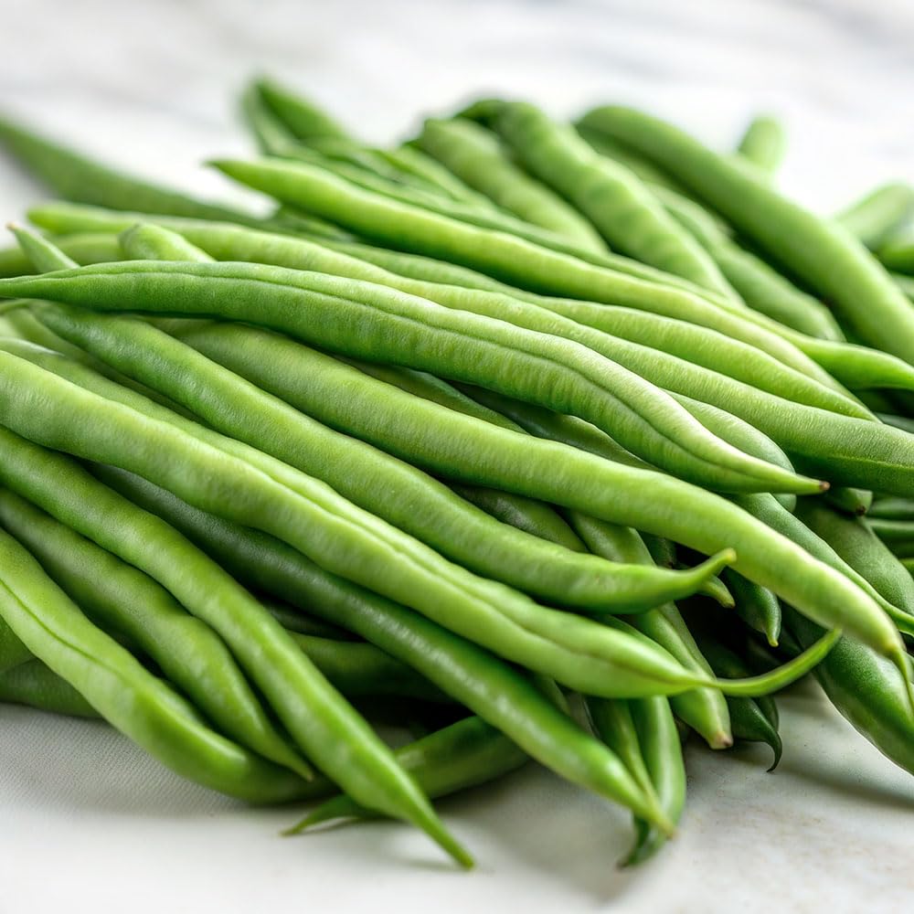 Bean Fagiolo Nano Ferrari Seeds – Early Stringless French Bean – Fast Growing, High-Yielding Italian Variety for UK Gardens