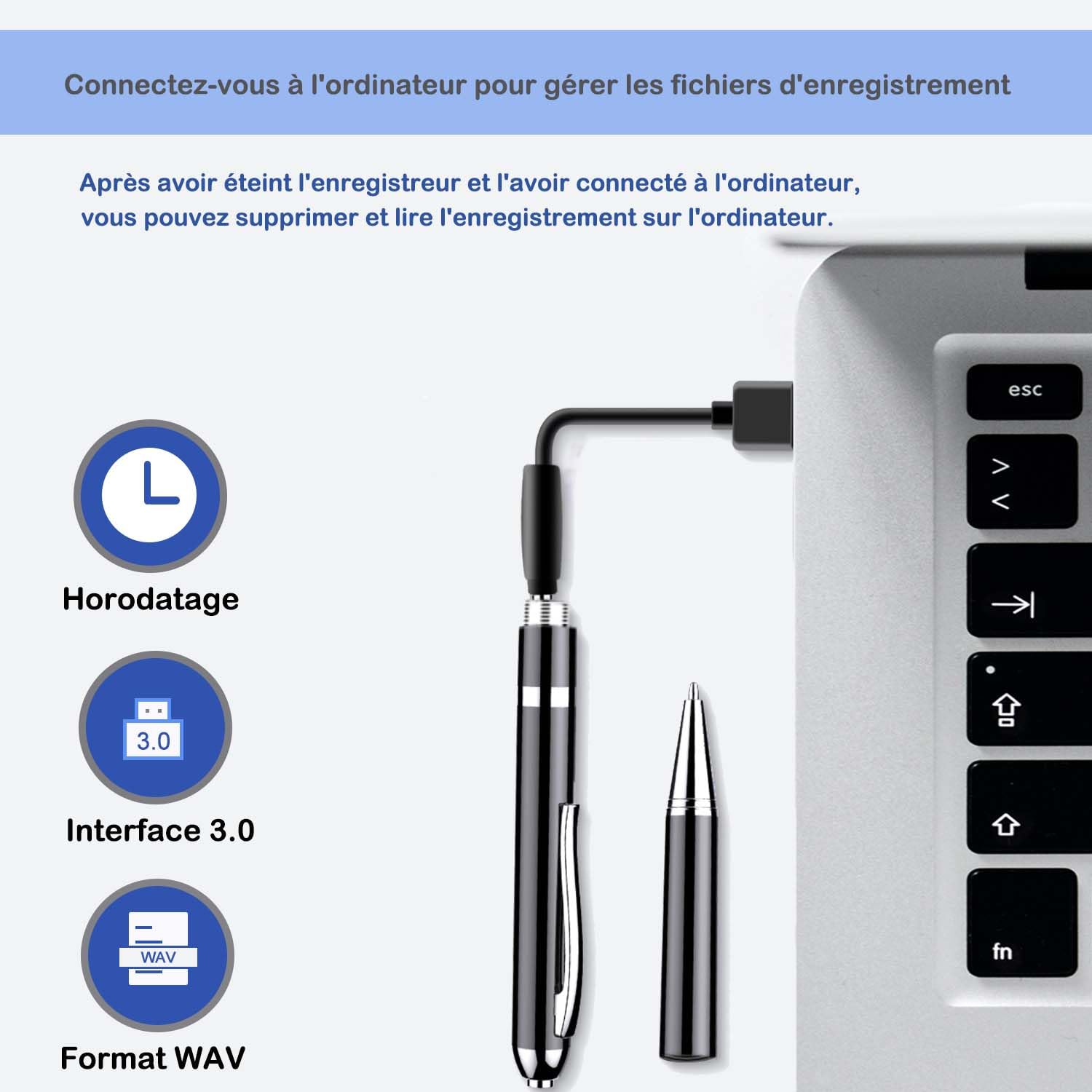 Enregistreur Vocal Stylo 64 Go Professionnel avec Activation Vocale et Lecture MP3 - Mini Enregistreur pour Réunions, Interviews, Leçons