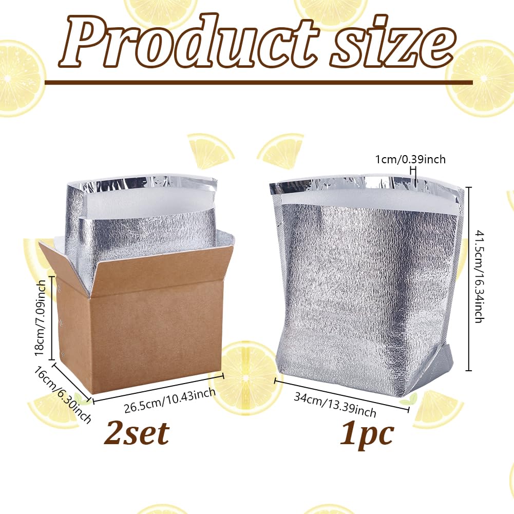 AHANDMAKER 2 Packung Isolierte Versandboxen Mit Aluminiumfolienauskleidung Isolierte Beutelauskleidung Wärmeisolierung Kühlakku Versandboxen Für Gefriergut Wiederverwendbare Kühlbox