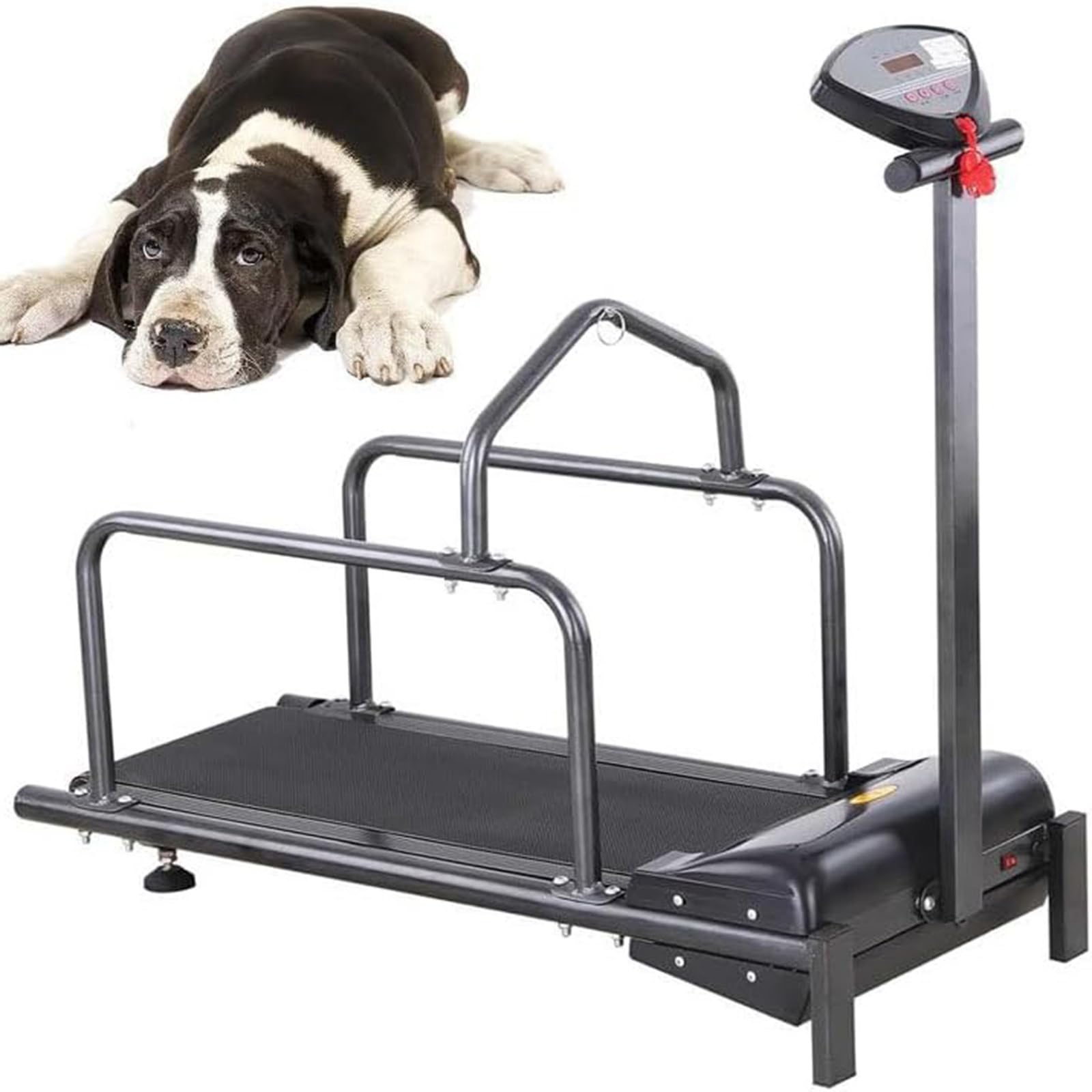 Hundelaufband FüR Kleine Hunde,Hundelaufband FüR Mittlere Hunde,200w Motor,Geschwindigkeitsbereich 0,8–6 Km/H,Mit Neigungsverstellung Und Anzeigebildschirm,TragfäHigkeit 80 Kg,C100
