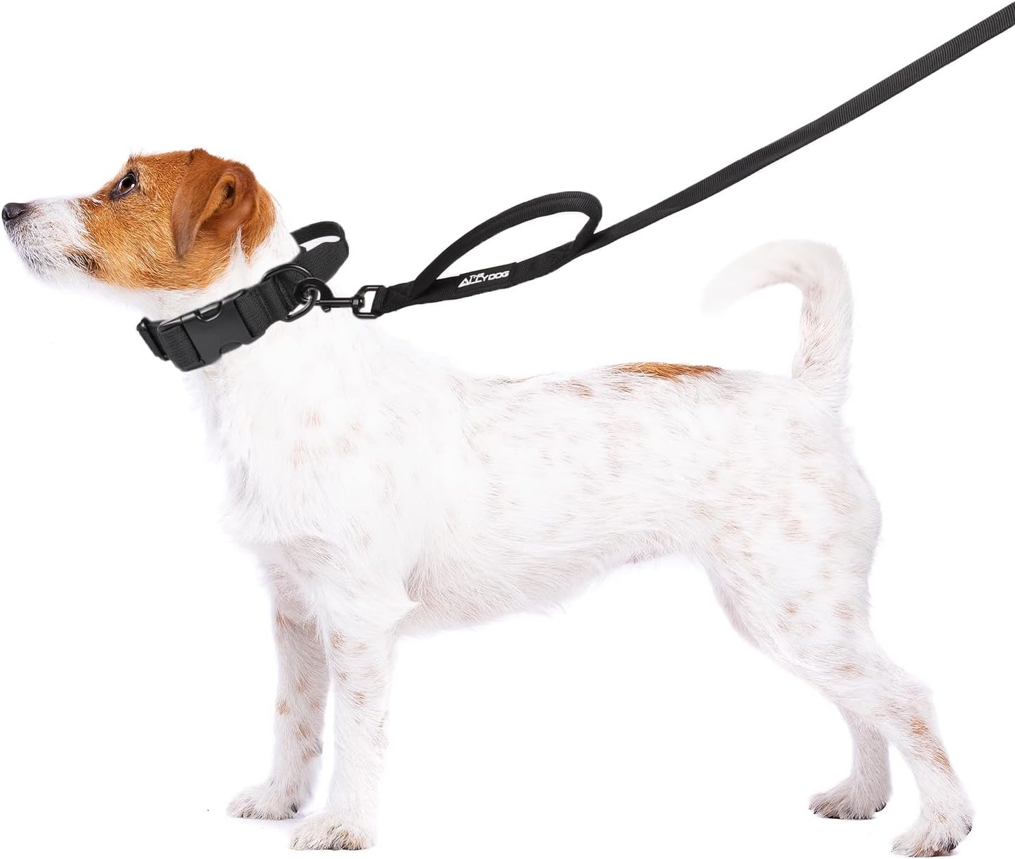 Best Dog Lead by THE ALLY DOG I All Round Dog Leash I UK Brand Dog Lead