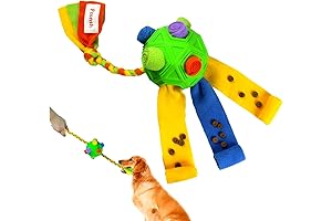 Snuffle Ball for Dogs: Engage Your Pup's Natural Foraging Instincts