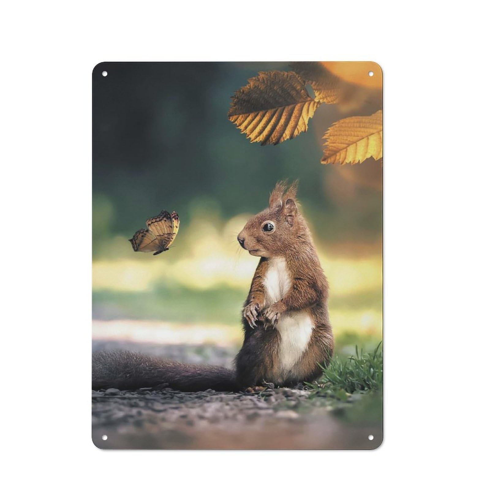 Decorative Metal Plaque with The Squirrel And Butterfly Design 40x30cm, Casual Utility Space Decor for Patio Bar, Workshop, Shed Or Kitchen