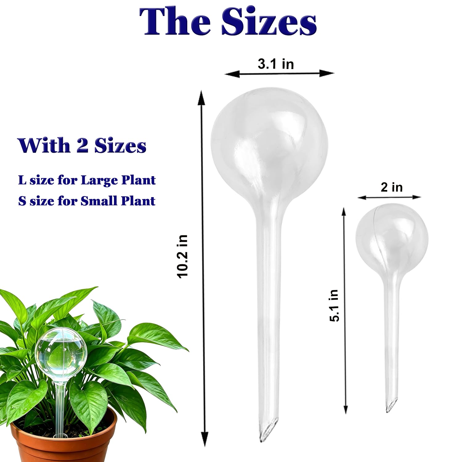 Kingbow 10 globi di irrigazione automatica per piante, in plastica trasparente, dispositivi di irrigazione automatica per fiori, dispositivo di irrigazione automatica da giardino, per piante da