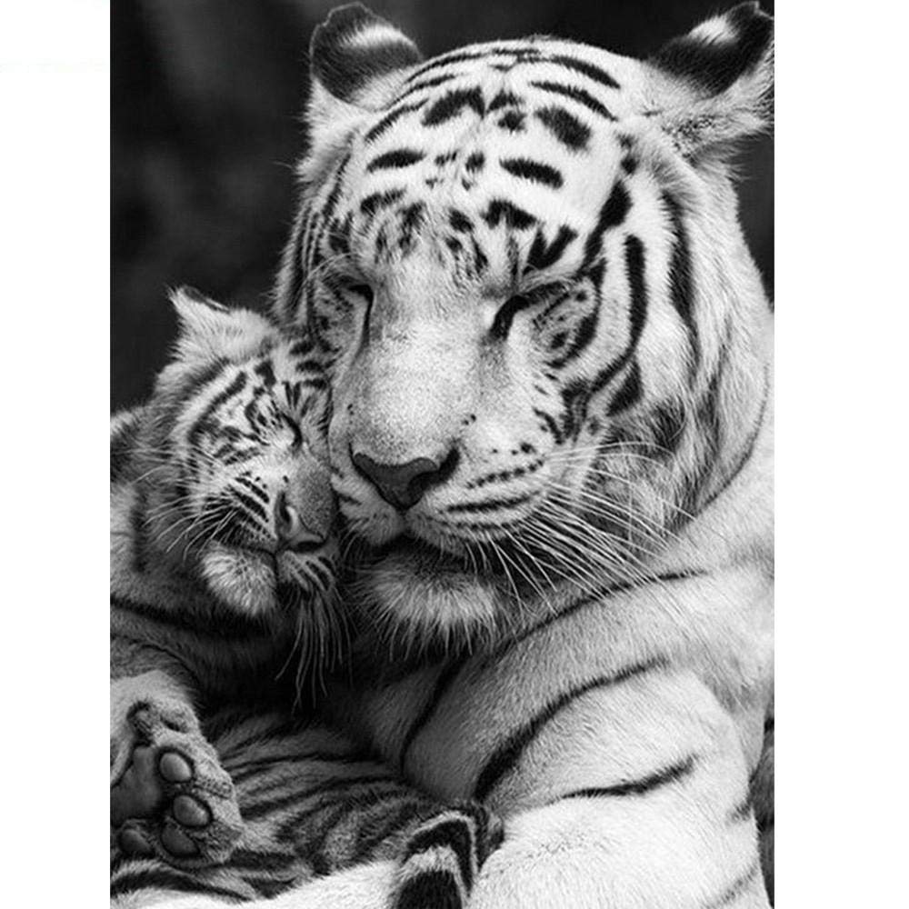 Tigre Puzzle 1000 Pezzi Puzzles Classici Adulti Alta Definizione Decorazioni Per La Casa Gioco Di Famiglia 1000pcs (75x50cm