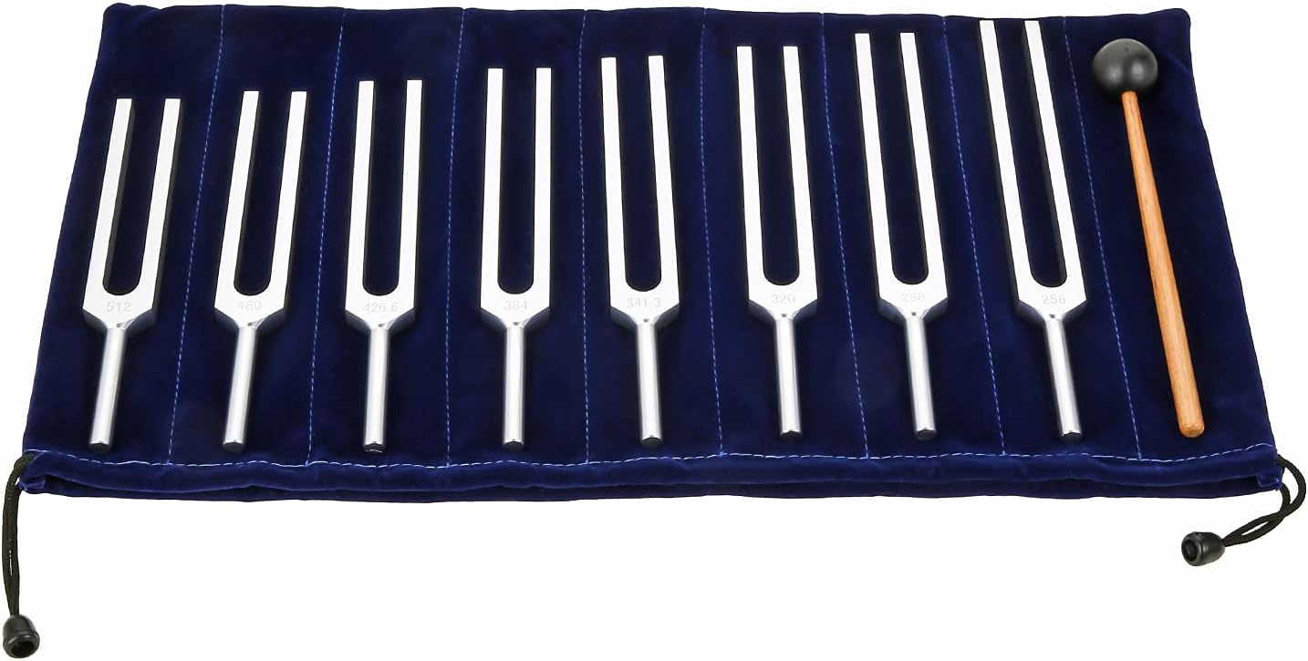 Solfeggio Tuning Forks Set, 9 Tuning Fork for Sound DNA Healing, Vibration, Relax Mind Body with Silicone Hammer and Bag (174 Hz, 285 Hz, 396 Hz, 417 Hz, 528 Hz, 639 Hz, 741 Hz, 852 Hz, 963 Hz) : Musical Instruments