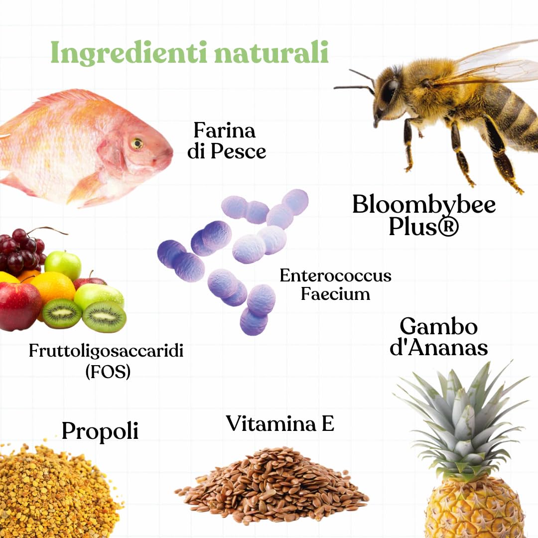 Bau Rimedio Dermatite Cane Anti-Prurito Allergie Stagionali, Alleviano il Prurito Cane, Ingredienti Naturali per la Salute della Pelle del Cane, Ideale per Cani con Pelle Arrossata -60cps