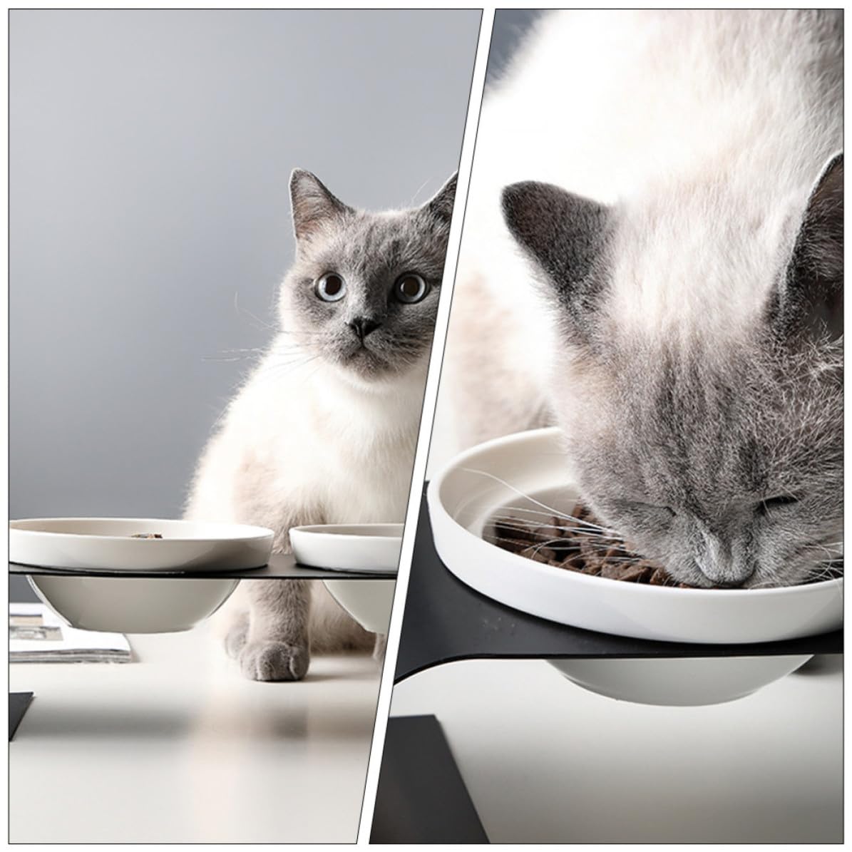 DOITOOL Comedero para Gatos Cuenco Doble de Cerámica y Soporte de Hierro Resistente, Cuenco Elevado Blanco Fácil de Limpiar, Adecuado para Gatos y Perros Pequeños