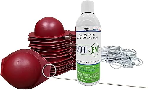 Bug Ball Paquete de 20 trampas para gusanos de manzana, sin pesticidas, fabricado en Estados Unidos
