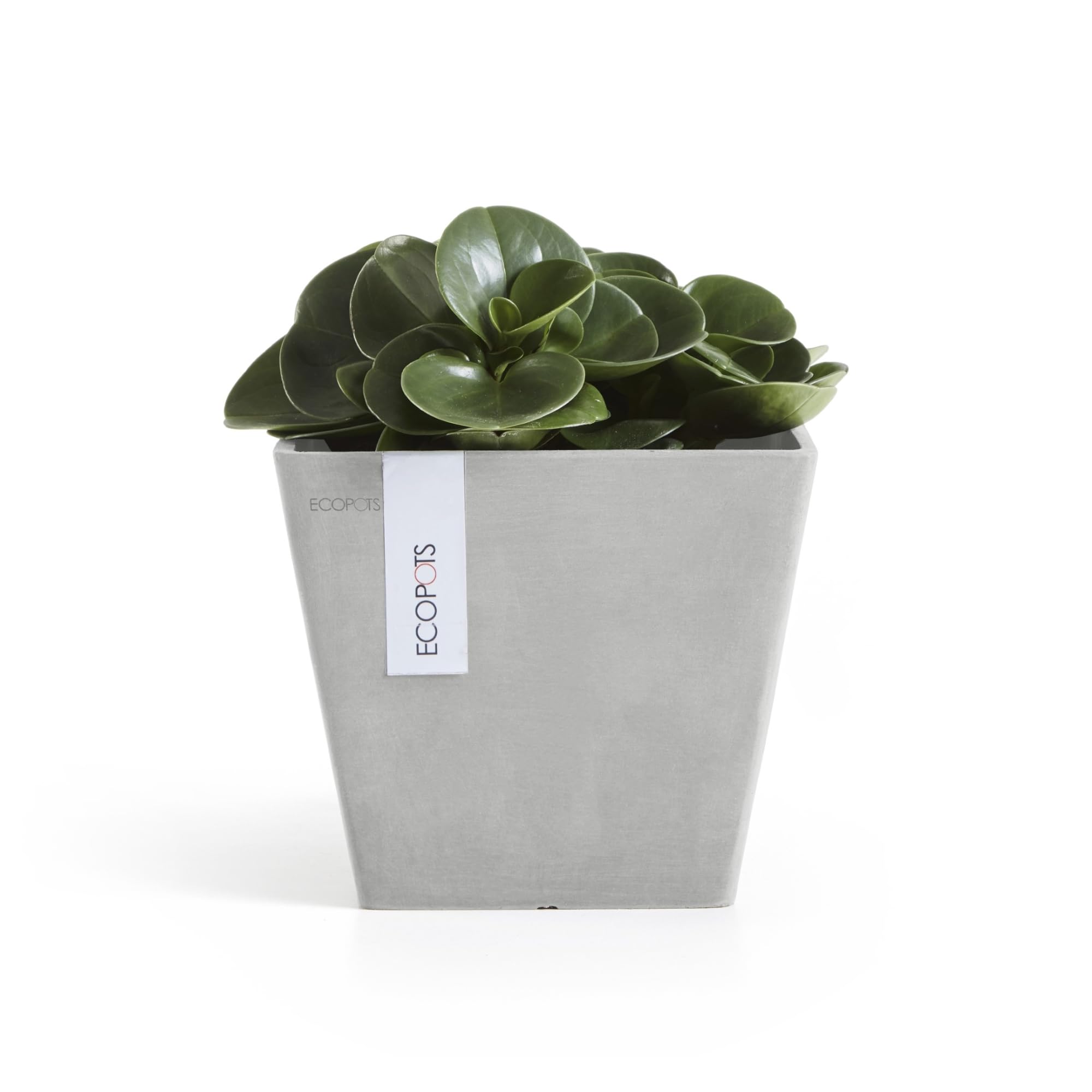 Ecopots Bruges 65 Bianco Grigio | Leroy Merlin