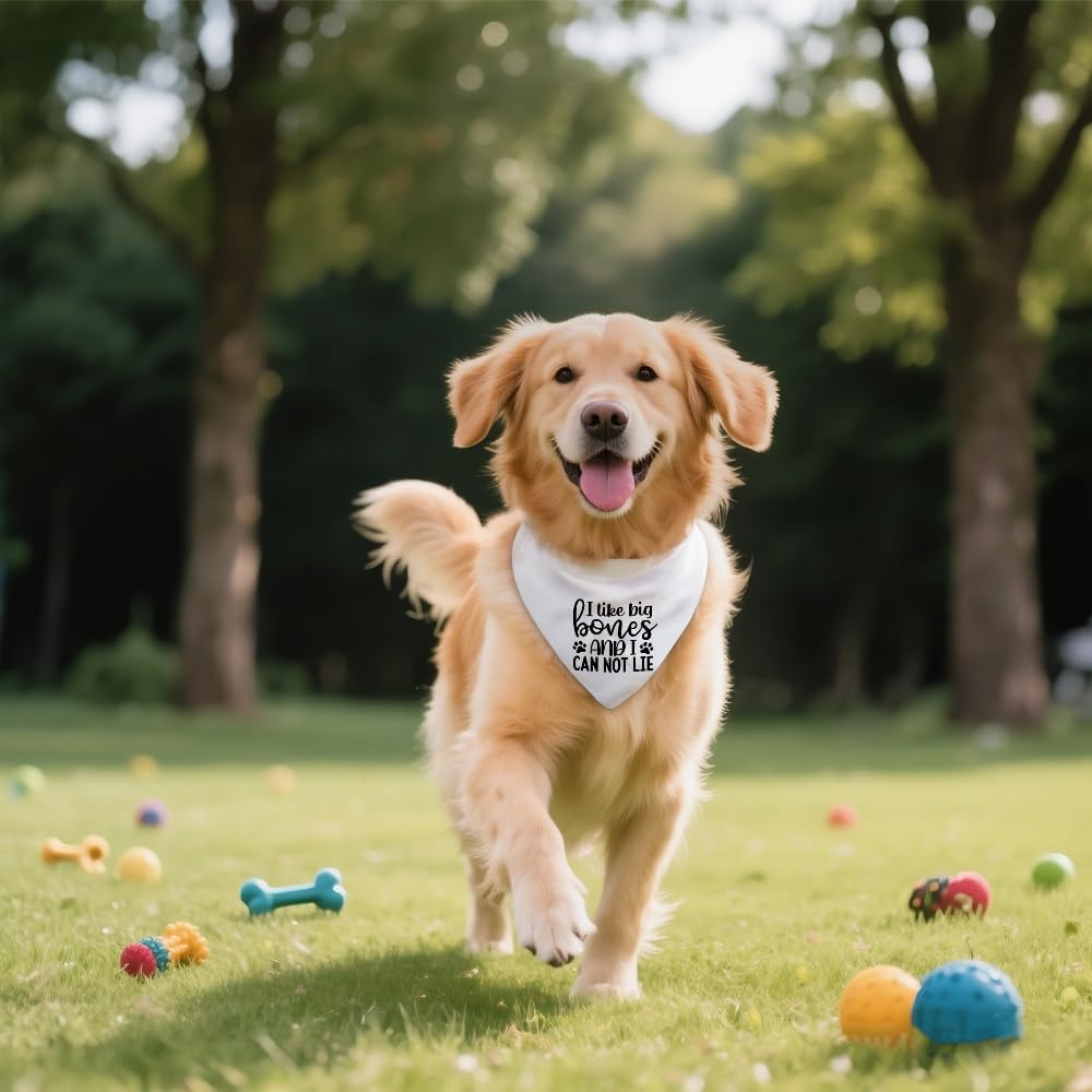 I Like Big Bones and I Can Not Lie White Dog Bandana image 5