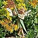 Miniature Fairy Garden Willow Fairy
