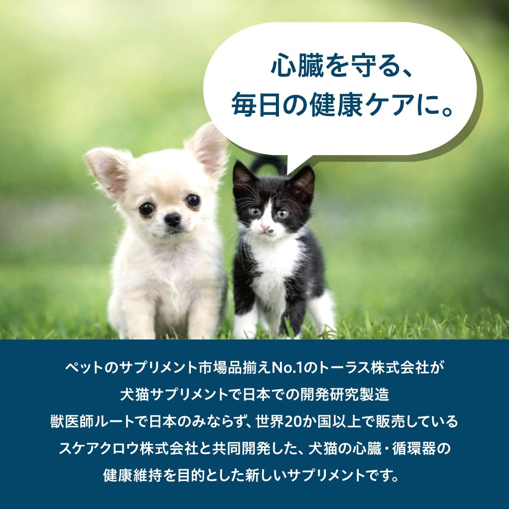 Amazon.co.jp: パンフェノンⓇ ピュア : ペット用品