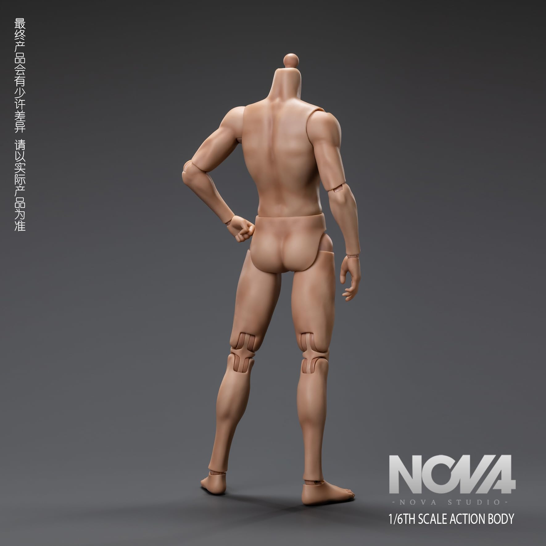 Shttle NOVA ボディセット Amazon | [Tbmodel] NOVA Studio 1/6 フィギュア 男性素体