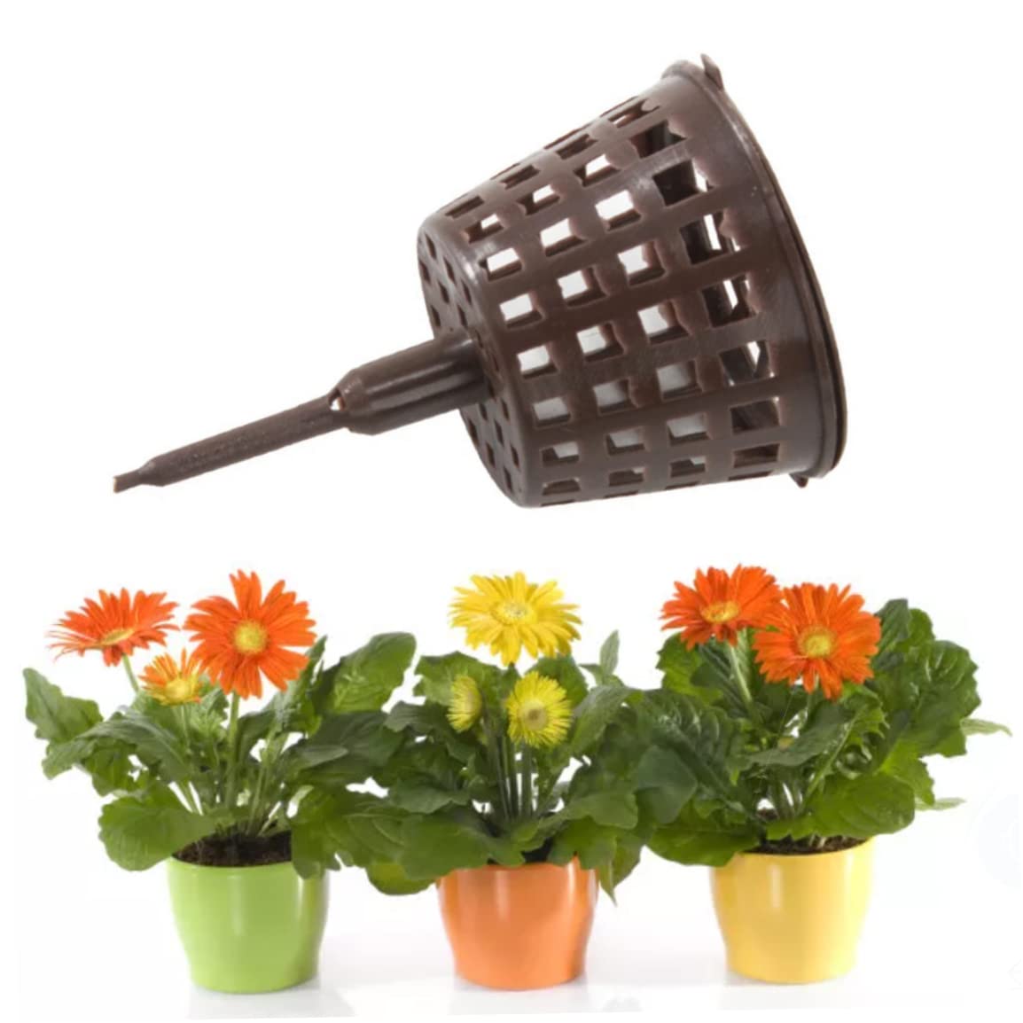 Boîte d'engrais en plastique 100pcs pour bonsaï avec couvercle outil de jardinage
