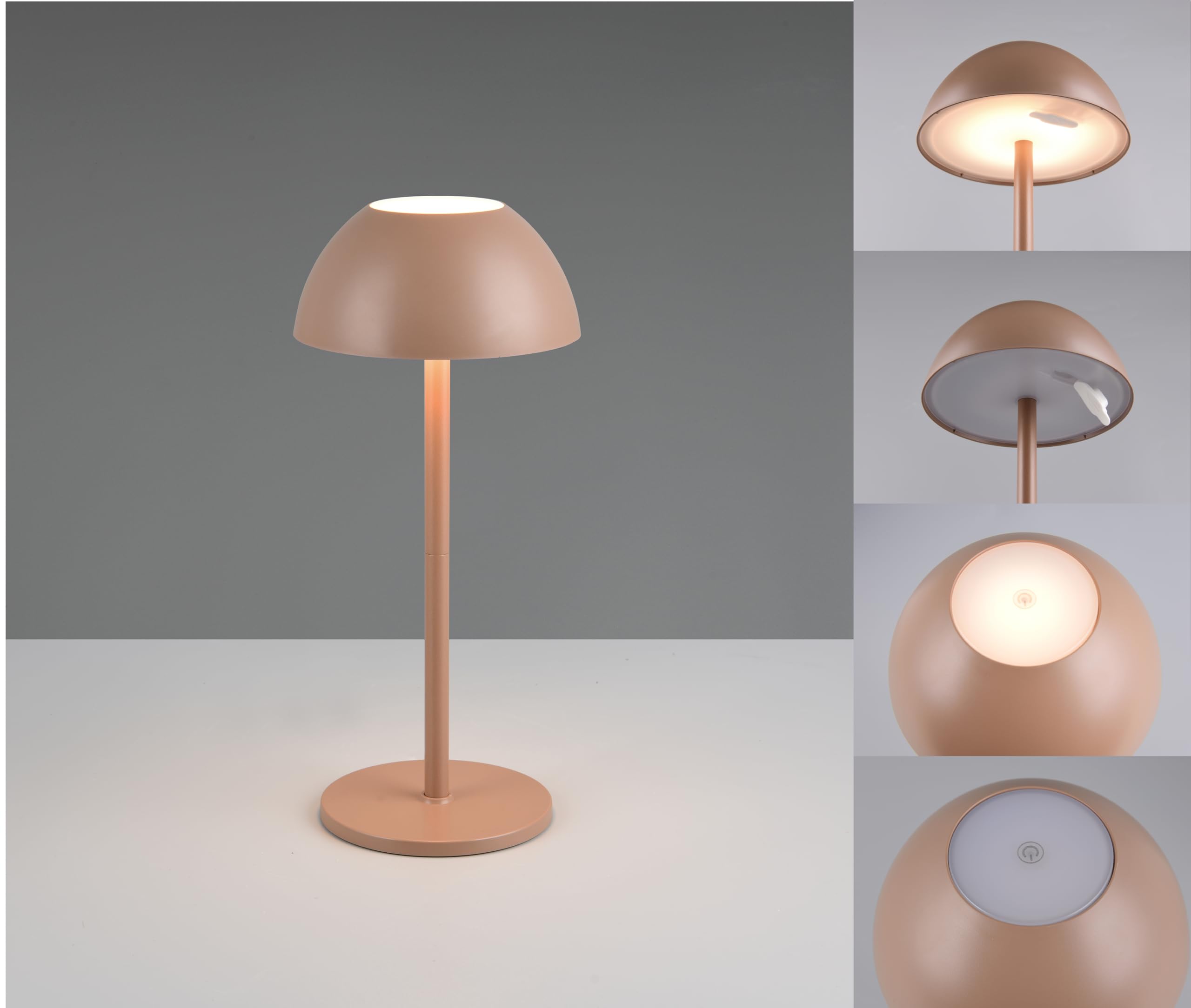 Reality Leuchten Ricardo R54106165 - Lampada da tavolo a LED per esterni, in plastica, con LED da 1,7 Watt, 4 ingressi touch