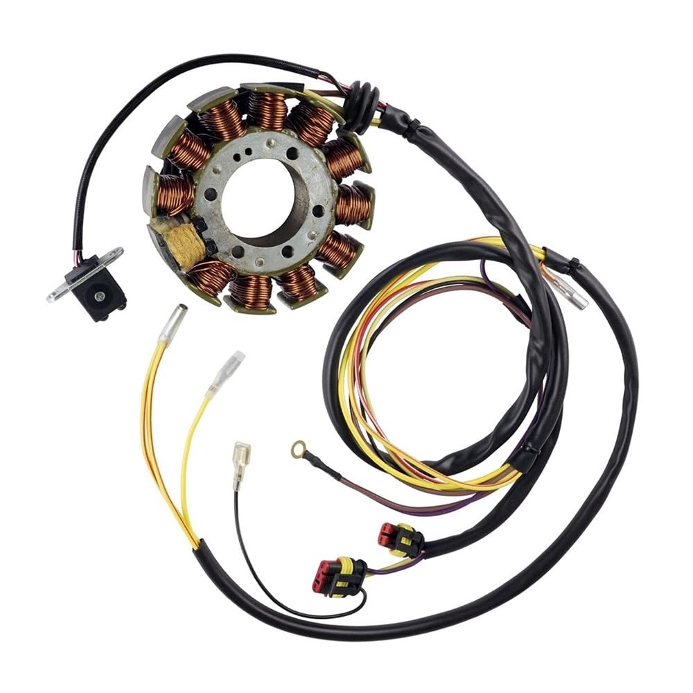 Stator moteurs EFI 2002 à 2006 pièce détachée pour référence 4060150