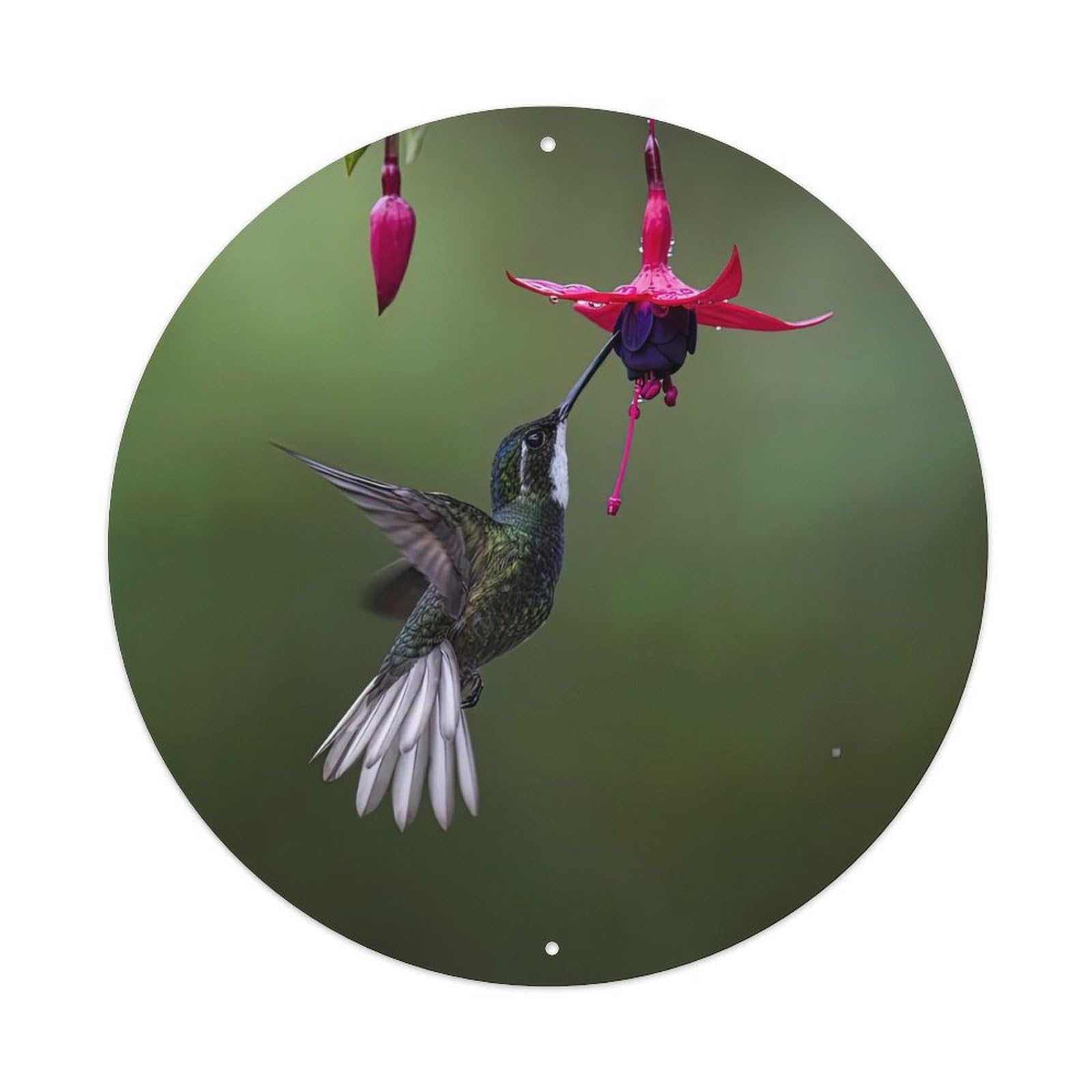 Hummingbird Feeding Floral Wildlife Photography Metal Tin Sign