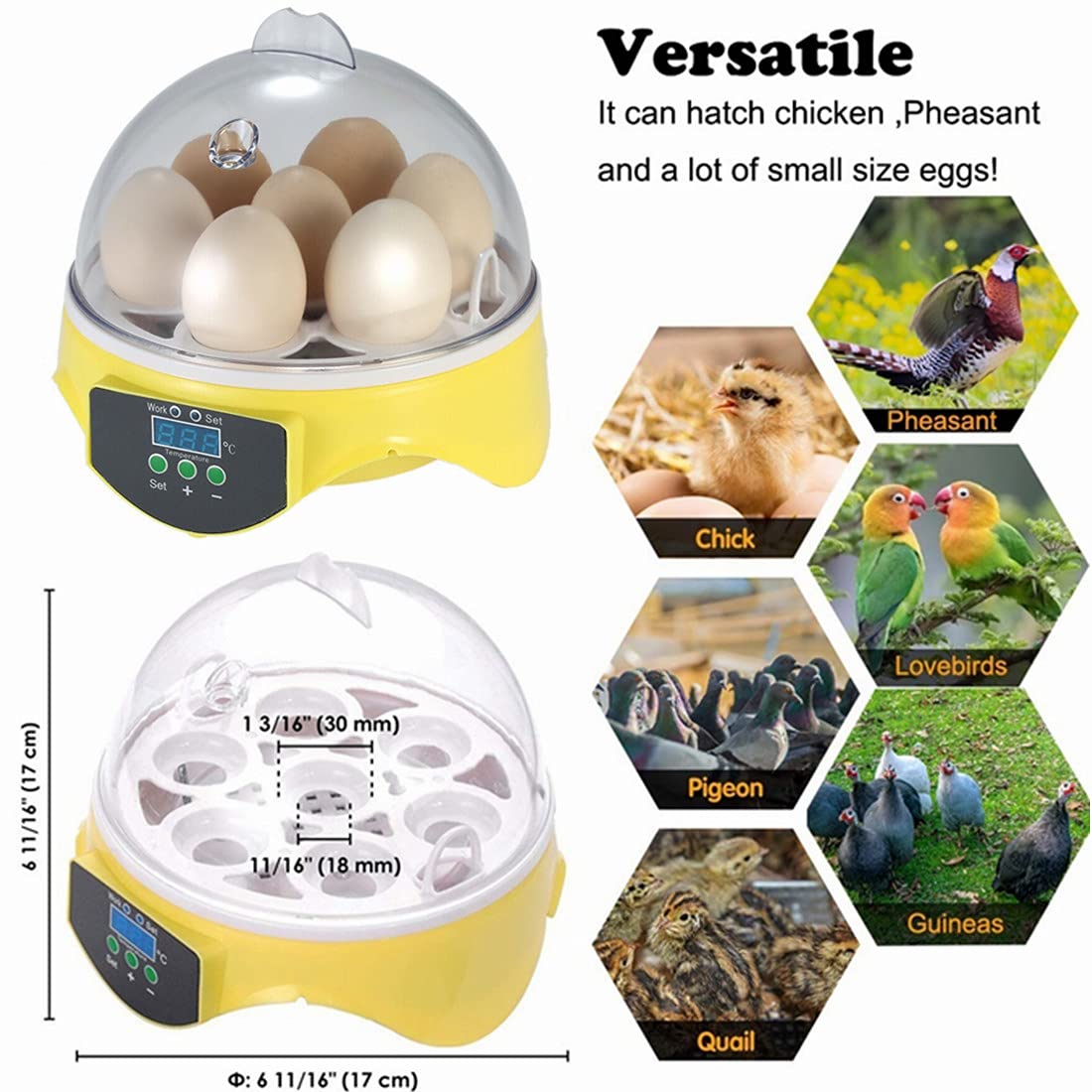Mini incubateur d'œufs pour 7 œufs, Machine à couver avec contrôle de la température, Petits incubateurs pour Poulets, cailles, Oiseaux