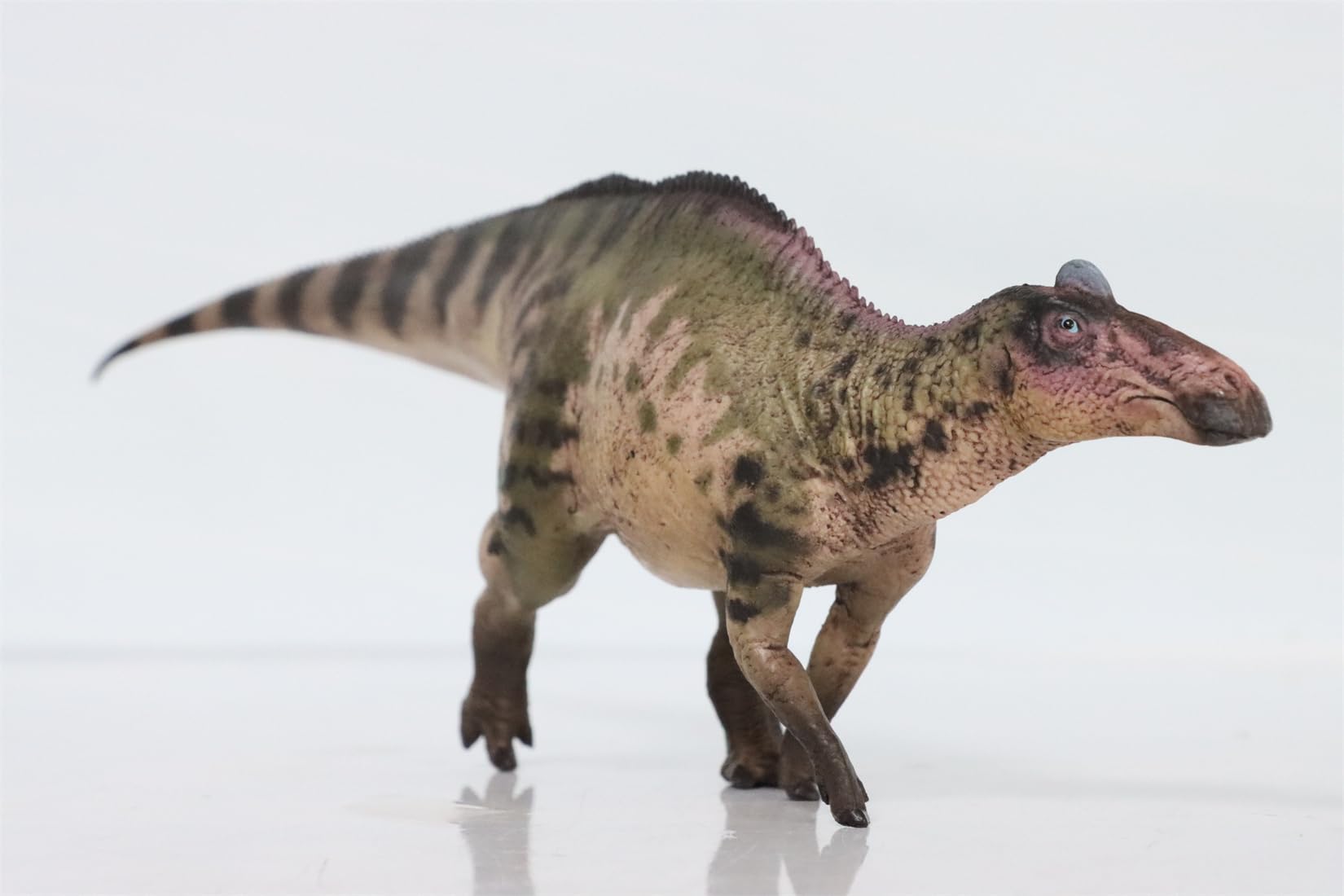 WLNTDOLA 1:35 Scale Edmontosaurus Model Realistic PVC Animal Figure Dinosaur Collection Home Decor Gift for Adult (Green)