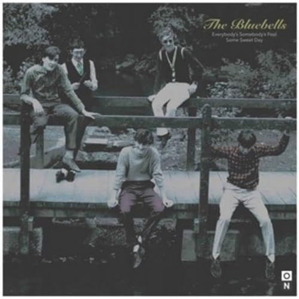 Everybody's Somebody's Fool [7" VINYL]
