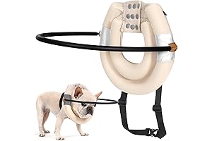 BECEMURU Blind Dog Halo: A Protective Guide for Enhanced Confidence