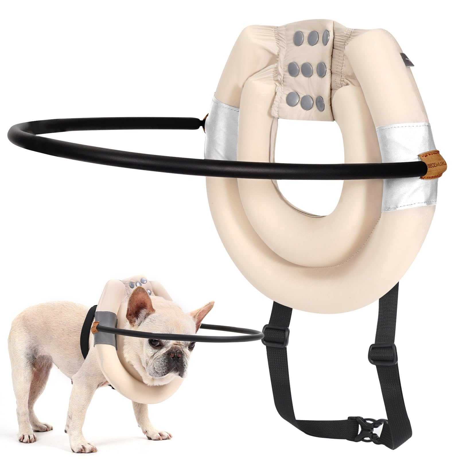 Blinde Hogere Mens Die Met Zijn Hond Lopen Vector Illustratie