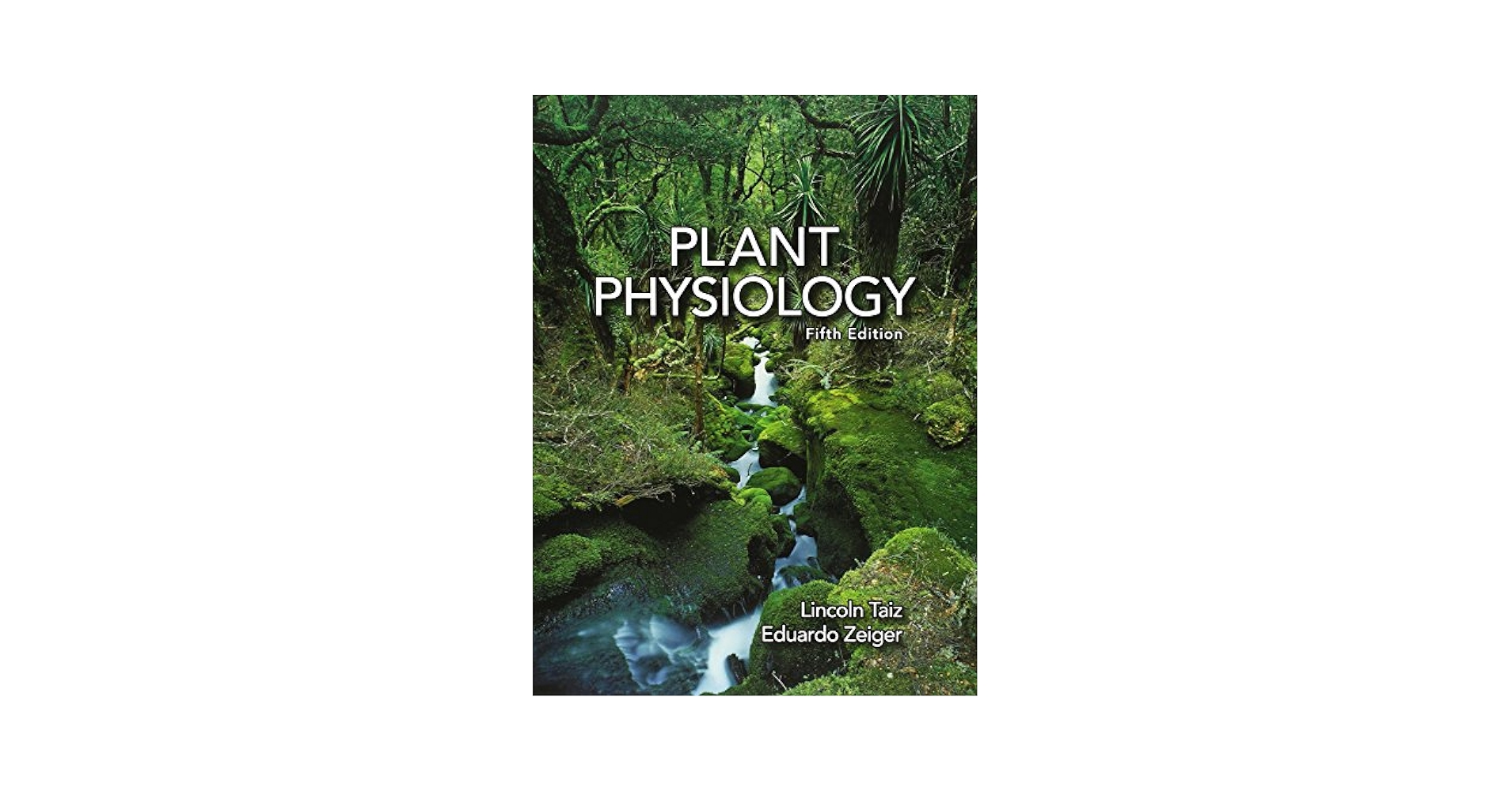 Plant Physiology and Development 第6版 Amazon | Plant Physiology and Development | Taiz, Lincoln