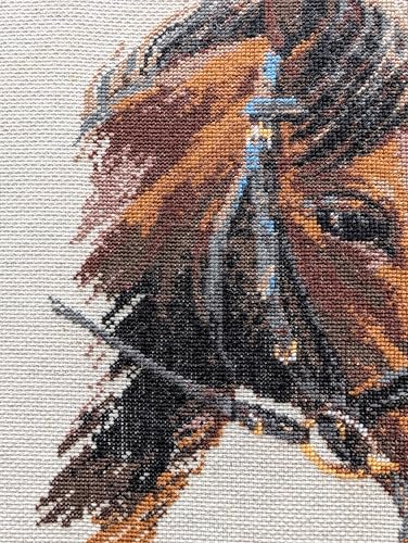 Image of RIOLIS - Bulat 826, Counted Cross Stitch Kit 9,45 inch x15,75, Brown Horse Embroidery Kit, Cross Stitch Patterns for Adults with Horse, Cross Stitch Kits for Adults Advanced & Beginners