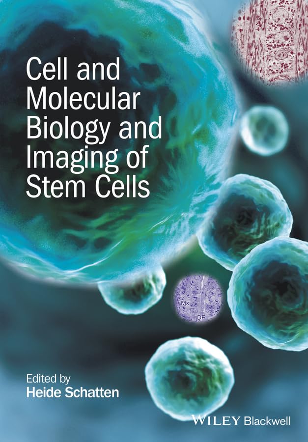 Buy Cell and Molecular Biology and Imaging of Stem Cells — BookShops.in