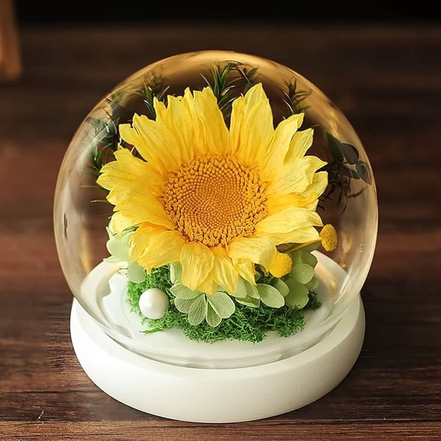 Amazon｜プリザーブドフラワー ガラスドーム ひまわり かわいい