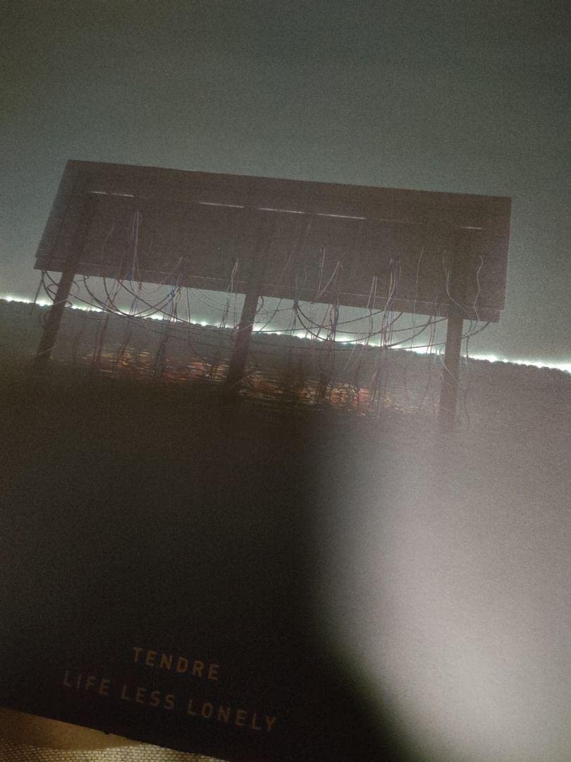 新品! TENDRE / LIFE LESS LONELY アナログレコード TENDRE｜『IN SIGHT』と『LIFE LESS LONELY』のアナログレコード